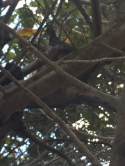 24288452886 6f32684110 o