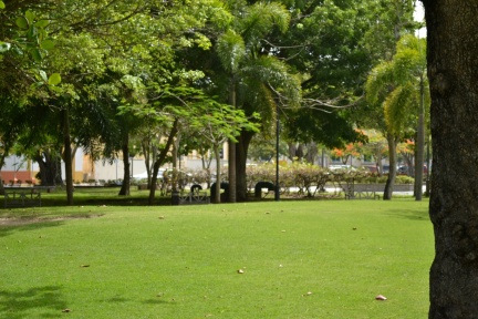 2012 05 11 0074