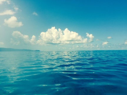 23947411209 606332e662 o